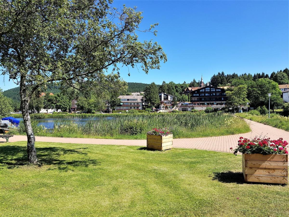 Grossdorf Ferienwohnung Waldsuite Im Harz กอสลาร์ ภายนอก รูปภาพ